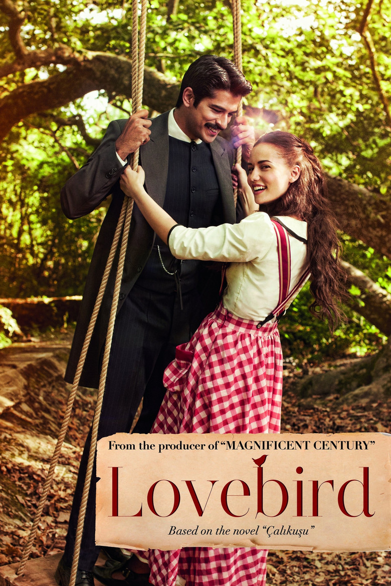 Calikusu Turkish drama poster
